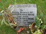 image of grave number 244849
